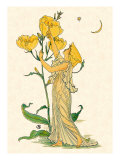 Evening Primrose Nymph  1889