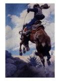 Bucking  1904
