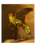 Green Parrot on Perch  1886