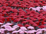 Crowds Wearing Red and Pink Umbrella Hats During the Annual Double Ten National Day  Taipei  Taiwan