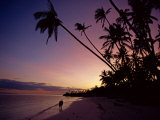 Couple and Palm Trees on Alona Beach Silhouetted at Sunset on the Island of Panglao  Philippines