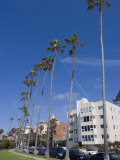 La Jolla  Near San Diego  California  United States of America  North America