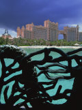 Atlantis  Paradise Island  Bahamas  Central America