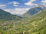 View from Dorf Tyrol over Merano  Towards Reschen Pass and Austria  Western Dolomites  Italy
