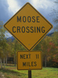 Close-Up of a Moose Crossing Yellow Road Sign  New England  United States of America  North America