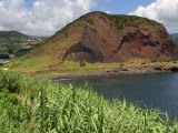 Monte Queimado  Faial  Azores  Portugal  Atlantic  Europe
