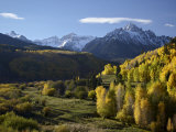 Sneffels Range with Fall Colors  Near Dallas Divide  Colorado  USA