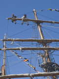 Detail of Main Mast of Tall Ship Whitehaven  Cumbria  England  UK