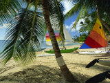Sailboats on Mullins Beach  Near the King's Beach Hotel  St Peter Parish  Barbados  West Indies