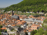 View from the Castle of the Old City  and the River Neckar  Heidelberg  Baden-Wurttemberg  Germany