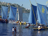 Lakatoi Canoe Race  Konedobu  Port Moresby  Papua New Guinea  Pacific Islands  Pacific