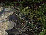 Fishing Boats on the Beach  East Coast  Island of Bali  Indonesia  Southeast Asia