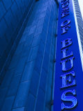 House of Blues  Live Music Venue  Marina City  Chicago  Illinois  USA