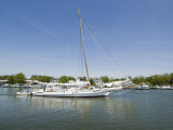 Dogwood Harbour  Tilghman Island  Talbot County  Chesapeake Bay Area  Maryland  USA