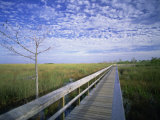 Viewing Walkway  Everglades National Park  Florida  United States of America  North America