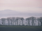 Mist over Farmland and Hills in Winter in Devon  England  United Kingdom  Europe