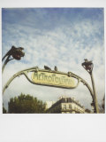 Polaroid of Two Pigeons Sitting on Sign Outside Paris Metro  Paris  France  Europe