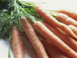 Still Life of Carrots
