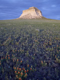 Pawnee Butte  Pawnee National Grassland  Colorado  United States of America  North America