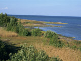 On the Coast of Muhu  an Island to the West of Tallinn  Muhu  Estonia  Baltic States  Europe
