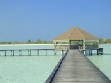 Jetty on the Island of Digofinolu in the Maldive Islands  Indian Ocean