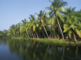 Typical Backwater Scene  Canals and Rivers are Used as Roadways  Kerala  India