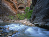 Virgin River Flowing Through the Virgin Narrows  Zion National Park  Utah  USA