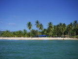 Tropical Coastline of Cayo Levantado  Dominican Republic  West Indies  Caribbean  Central America