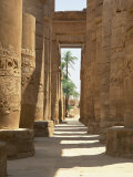 Columns with Hieroglyphs in the Great Hypostyle Hall  Temple of Karnak  Thebes  Egypt