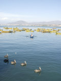 Two Men Bring in Harvest of the Sea  Chimbote  Chile  South America