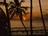 Beach at Sunset  Barbados  West Indies  Caribbean  Central America