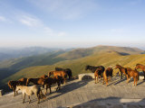 Wutaishan One of China's Sacred Buddhist Mountain Ranges  Shanxi  China