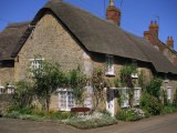 Thatched Cottages with Roses on the Walls at Burton Bradstock in Dorset  England  United Kingdom