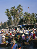 Collecting the Morning Catch from Fishing Boat Fleet  Mui Ne  South-Central Coast  Vietnam