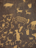 Rock Petroglyphs of Footprints and Animals  Newspaper Rock State Historical Monument  in Utah  USA