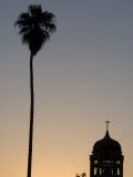 Silhouette of Palm Tree Next to Church  La Serena  Chile  South America