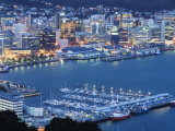 Oriental Bay and Wellington Harbour  Wellington  North Island  New Zealand  Pacific
