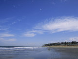 Kotu Beach  the Gambia  West Africa  Africa