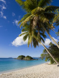 Trunk Bay  St John  US Virgin Islands  West Indies  Caribbean  Central America