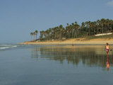 Kotu Beach  Gambia  West Africa  Africa