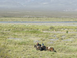 Argentine Cowboys in the Pampas  Near Malargue  Argentina  South America