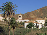 Palm Trees  Houses and Church at Betancuria  on Fuerteventura in the Canary Islands  Spain  Europe