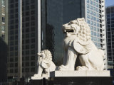 Stone Lion Statue in the Cbd Business District  Beijing  China