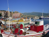Fishing Boats Moored in Harbour at Molyvos  Lesbos  North Aegean Islands  Greek Islands  Greece