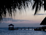 People in Beach Bar Near the Moorings at Sunset  Placencia  Belize  Central America