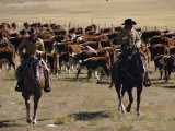 Two Cowboys on Horseback  Cattle Ranching  New Mexico  United States of America  North America