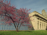 Architectural Contrast at the Metropolitan Museum  Manhattan  New York City  USA