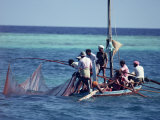 Crowded Fishing Boat Raising its Nets  Maldives  Indian Ocean
