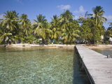 Jetty  Tobaco Caye  Belize  Central America
