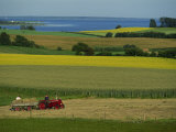 Tractor in Field at Harvest Time  East of Faborg  Funen Island  Denmark  Scandinavia  Europe